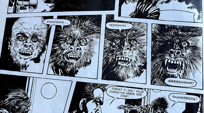 WiLDCAT #4: TREE-RiFiC FUN