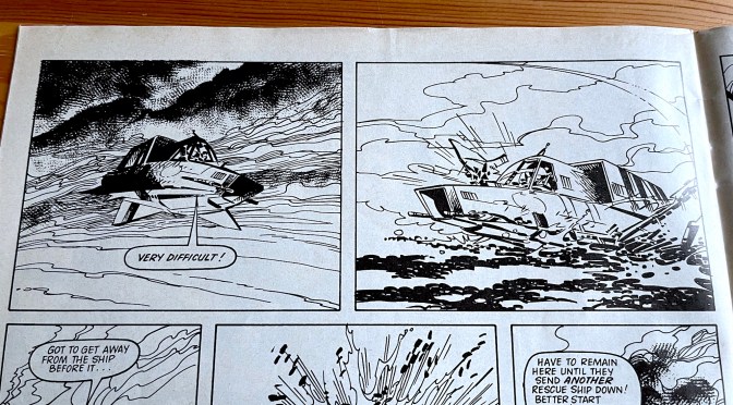 WiLDCAT #6: ROARiNG GOOD FUN