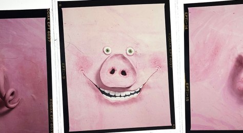 iAN TiLTON CHAT: A TAiL TO TELL